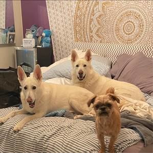 Meet your Posher, Joanie